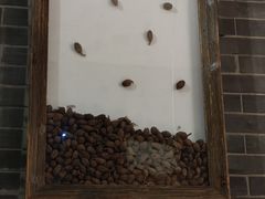 -李子坝梁山鸡(北碚万达五鸡哥店)