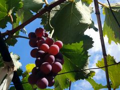 -大泽山风景名胜区