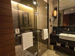 -河源万绿湖美思威尔顿酒店