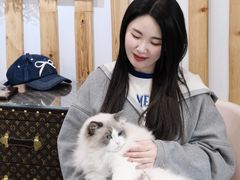 -青奢宠物·青奢猫舍