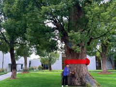 -养云安缦吧THE BAR