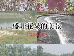 -洨河生态公园