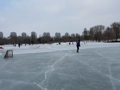 -群力丁香公园