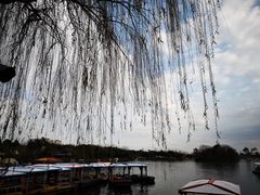 -秀丽东方