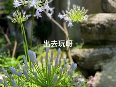 -润泽天·湘味家宴(岳麓山店)