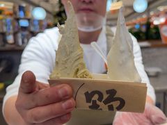 -野人先生Gelato(上海长宁龙之梦店)