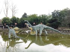 -自贡恐龙博物馆