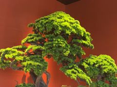 -阿伟海鲜楼·福建菜(延寿店)