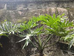 -青芝山风景名胜区