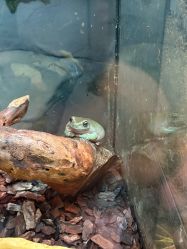 -Zoolung Zoolung动物主题公园(海信广场店)