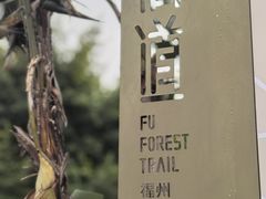 -福道