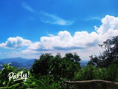 -梧桐山风景名胜区