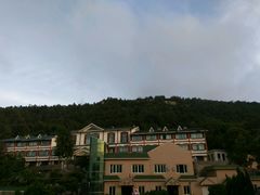 -大鹿岛