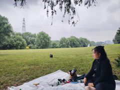 -长白岛森林公园