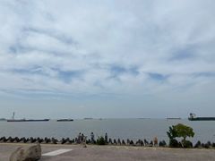 -上海滨江森林公园