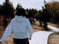 -白水寺森林公园