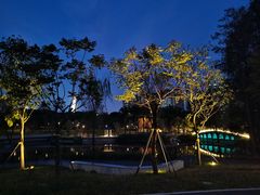 -四海公园(南山区)