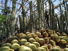 -南山植物园