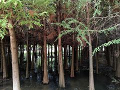 -捞渔河湿地公园