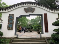 -南山植物园