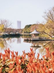 -玄武湖景区-情侣园游乐场