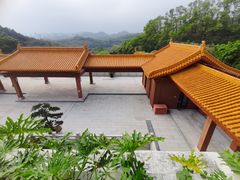 -深圳仙湖植物园