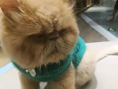 -小时光咖啡馆(开森度假森林店)