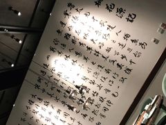 -羲和雅苑•北京烤鸭(乐园道万象城店)