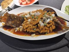 -羲和雅苑•北京烤鸭(平安国际金融中心店)