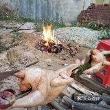   休闲的一天[调皮]