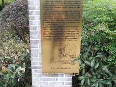 -重庆彩云湖湿地公园
