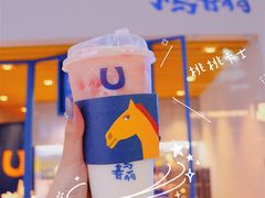 -春丽小马(济南恒隆广场店)