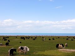 -青海湖国家重点风景名胜区