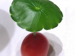 -清水蘭軒