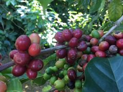 -后谷咖啡(建设巷店)