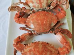 -宾朋海鲜美食餐厅·特色美食(兴海路店)