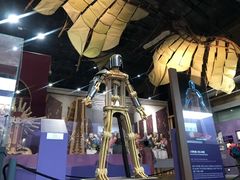 -国家自然博物馆