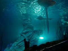 -沈阳海洋探索中心