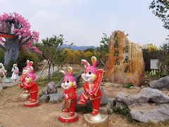-天适樱花悠乐园
