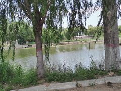 -北戴河集发农业梦想王国