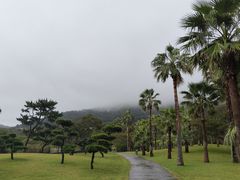 -普陀山风景名胜区-千步大沙