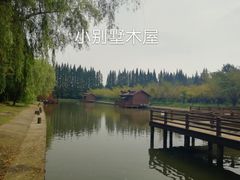 -金岛生态园烧烤露营地