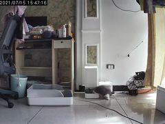 -联合动物医院(光谷诊疗中心)
