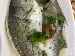 -侬佳蒸菜馆(听潮店)