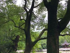 -汇龙潭
