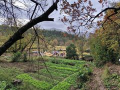 -塔川景区