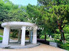 -菊花台公园