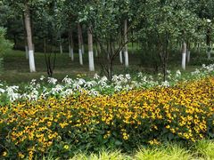 -永定河休闲森林公园