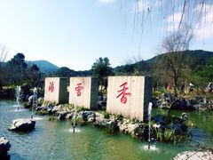 门面-香雪海
