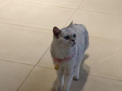 -怪兽屋·羊驼·猫咖·狗咖(俊华广场店)